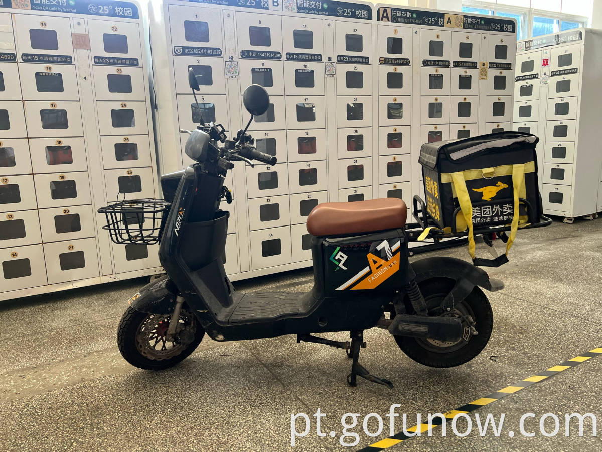 Gofunow Food Delivery Electric Bikes